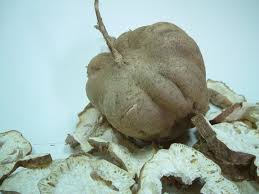 Image result for Pueraria