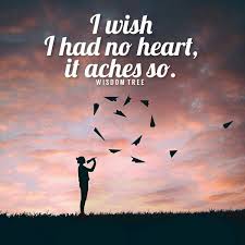 65 True Love Quotes For People In Love