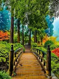 Download Animated 240x320 Rain In The Park Cell Phone Wallpaper Categor Beautiful Landscape Wallpaper Blurred Background Photography Beautiful Places Nature