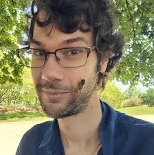 How do people feel about flies?