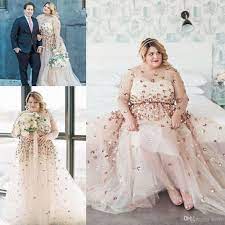 Discount Plus Size Long Sleeve Wedding Dresses 2018 Modest Shiny 3d Floral Champagne Sheer Neck Country Garden Wedding Gowns Robe De Mariee Weddingdress Western Wedding Dress Train Long Sleeve Wedding Dress