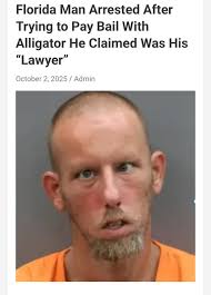 Michael Openshaw (@mopenshaw)