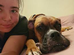 Here's Cooper with our newest boy Kato. Baby boy just wants to cuddle 🤣