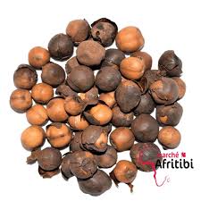 Image result for Afrostyrax lepidophyllus