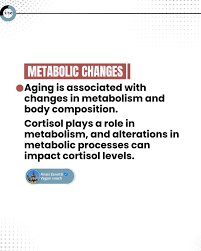 Image result for Body Composition Changes with Aging