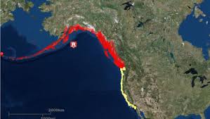 A tsunami watch that was up for hawaii was later canceled. Tsunami Warnings Watches Issued After Gulf Of Alaska Earthquake
