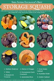 We did not find results for: Storing Heirloom Squash Over The Winter Seed Savers Exchange Blog