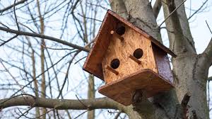 Der nistkasten ist auch an der wetterseite (westen) eines baums nicht günstig platziert. Kein Vogel In Meinem Nistkasten Woran Liegt Das In 2020 Nistkasten Nistkasten Selber Bauen Nistkasten Aufhangen