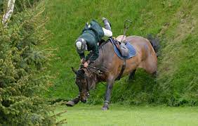 Check spelling or type a new query. Hickstead Derby Bank How Not To Do It Horse Hound