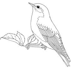 Perfect for high content book business, fully tested in the amazon kindle direct publishing platform and ready to list! Welcome To Dover Publications Bird Coloring Pages Animal Coloring Pages Bird Illustration