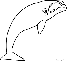 Pin On Mammal Coloring Pages