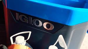 We did not find results for: Igloo Maxcold 60 Quart Wheeled Cooler Youtube