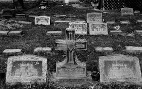 Jetzt eine riesige auswahl an gebrauchtmaschinen von zertifizierten händlern entdecken Denver Pet Cemetery Crematory Home Facebook