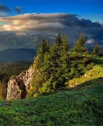 De totale oppervlakte bedraagt 603.700 km2. 33 Ideeen Over Oekraine Oekraine Rusland Oost Europa