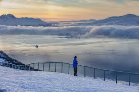 Flere av verdens aller største profiler her kan du lese alt om arctic race of norway 2021, se løypekart og oversikt over hvilke veier som stenges. Top 5 Photo Stops In Tromso Norway Radisson Blu