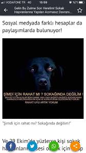 Elmayra Adli Kullanicinin Neden Panosundaki Pin Hayvan Simsek Rahat
