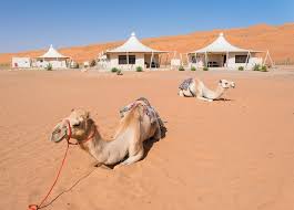 Desert nights camp is the nicest permanent camp in wahiba sands offering the most comfortable stay in the desert. Best Desert Camps In Oman