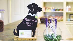 We strive to offer empathetic, compassionate and quality vet care to your beloved pets. Dogwood Animal Hospital About Our Clinic Youtube