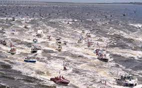 The granddaddy of them all, the eastport yacht club lights parade, will be held. Trump Space Coast Boat Parade Draws Enormous Fleet Of Watercraft To Intracoastal Waterway