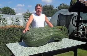 See 8 reviews, articles, and 14 photos of raciborz brewery, ranked no.9 on tripadvisor among 15 attractions in raciborz. Giant Vegetables Grow In Raciborz On Piotr Holewa S Plot The Squash Weighs 55 Kilograms And The Cucumber Is 78 Cm Long World Today News