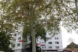 Wir haben 62 immobilien zur miete in wohnung duisburg altstadt ab 313 € für dich gefunden. Kleinanzeigen Wohnungen Duisburg 07 2021 Newhome De C