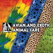 Maybe you would like to learn more about one of these? Avian And Exotic Animal Care Avianandexotic Twitter