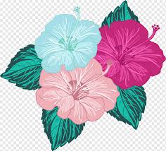 Check spelling or type a new query. Pink And Teal Hibiscus Artwork Flower Silk Petal Colored Silk Flower Color Splash Teal Artificial Flower Png Pngwing
