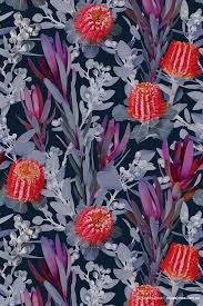 A Side Project Jun Australia Colourway 1 C Louise Jones Flower Art Australian Native Flowers Floral Art