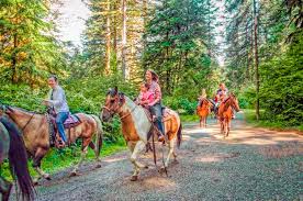 Silver falls state park campground is open all year with cabins and approximately 100 rv or tent camp spots. Silver Falls State Park Oregon State Parks
