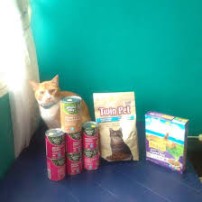 pin on catfood