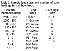 Trout Production Feeds And Feeding Methods The Fish Site