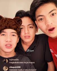 Harold TikTok Account