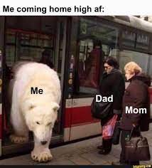 Me Coming Home High Af Ifunny Funny Relatable Memes Memes Coming Home
