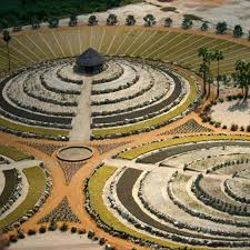 Cabo azul resort, los cabos. Wirikuta This Amazing Botanical Desert Garden Located In Puerto Los Cabos Offers You A View Of An Beautifully P Baja California Baja California Sur Los Cabos