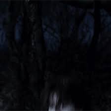 Sleepy Hollow Aesthetic Explore Tumblr Posts And Blogs Tumgir A collection of the top 54 aesthetic gif wallpapers and backgrounds available for download for free.