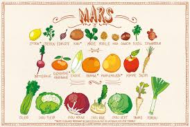 Epingle Sur Fruits Et Legumes