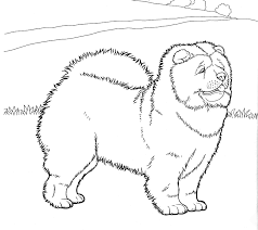 If you're older than about 10, you might not admit to everyone that you like to color. Chow Chow Coloring Pages Dog Coloring Pages Coloring Pages For Kids And Adults