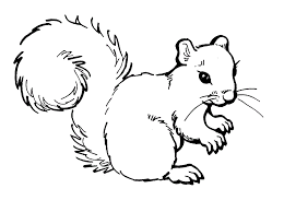 Plus, it's an easy way to celebrate each season or special holidays. Coloring Pages Flying Squirrel Coloring Pages Squirrel Coloring Coloring Home