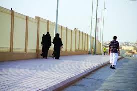 الصلاة جامعةٌ، فلا يُشرع فيها أذانٌ أو إقامةٌ، Ø§Ù„Ù†Ø³Ø§Ø¡ ØºÙŠØ± Ù…Ø±ØºÙˆØ¨ ÙÙŠÙ‡Ù† Ø¨Ù…Ø¶Ø§Ù…ÙŠØ± Ø¹Ù†ÙŠØ²Ø© ØµØ­ÙŠÙØ© Ù…ÙƒØ©