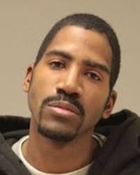 Grand Rapids police chief: Officers acted appropriately when shooting an  attacking pit bull