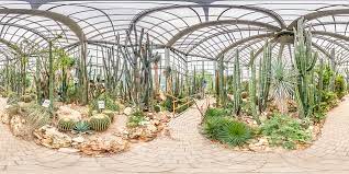 Hôtels proches de botanischer garten, frankfurt (oder): Palmengarten In Frankfurt Am Main Botanischer Garten
