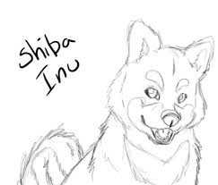 The shiba to the akita and boasting much of the same conformation about shiba inu is a big breed and was presented with the sight of visitors or sounds. Shiba Inu By Nyaasu On Deviantart