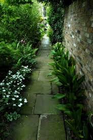 Deep Shade Garden Walkway Shade Garden Shade Landscaping Impatiens Flowers
