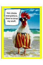 Funny Chicken Puns Comedycemetery Find the best free stock images about funny chicken. funny chicken puns comedycemetery