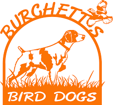 Hunters typically pursue their prey on foot and rely on their dogs to find hiding birds, lurking in the tall grass and shrubs. Jhf1siaihorelm
