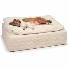 Ökologisch sinnvoll und orthopädisch durchdacht: Hundebett Designs Was Finden Hunde Gemutlich Hunde Bett Orthopadisches Hundebett Coole Hundebetten