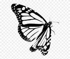 Monarch Butterfly Clipart Black White Outline Monarch Butterfly Hd Png Download 660x720 6786260 Pngfind For your convenience, there is a search service on the main page of the site that would help you find images similar to butterfly outline png with nescessary type and size.