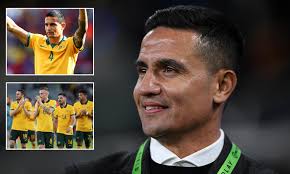 Tim Cahill gives his explanation for the Socceroos' disastrous World Cup  qualifying campaign