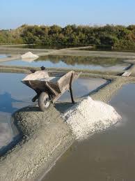France Les Marais Salants De Guerande A Cent Kilometres De Nantes Brouette De Paludier Sur Pont D Argile Bretagne Loire Atlantique Le Croisic