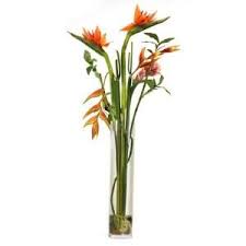 Bird Of Paradise Bouquet Care Tall Bird Of Paradise In Glass Cylinder Vase By Wayfair Floor Vase Tallest Bird Glass Cylinder Vases